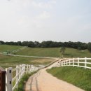 창진목장 이미지