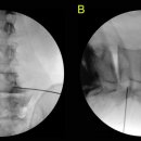 경희다스림한의원 이미지