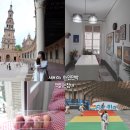 오아시스 민박 | 스페인 여행 세비야 한인민박 추천 책읽는침대 가성비 숙소