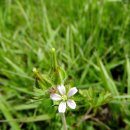 영암우체국 이미지