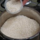 수백농장 이미지