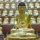 완도 신흥사 목조약사여래좌상 이미지