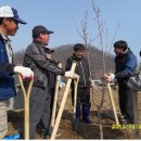 신북면사무소 이미지