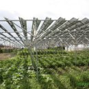 발전농장 이미지