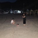 코코스크린골프 이미지