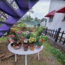 공주펜션심평재 이미지