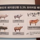 돈인환영