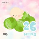27 | B28. 임신 26주-28주 | 국내태교여행(하동, 남해), 의정부벚꽃놀이, 축제 뿌시는 임산부 일상