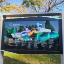 야인노래방 | #대가야수목원 #대가야빛의숲