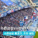 버드벨리 | 수원삼성 vs 성남FC 직관 후기! 수원월드컵경기장(빅버드) 주차 꿀팁까지