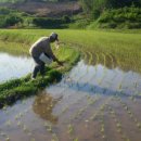 포항우렁이농장 이미지