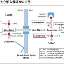 도파민 분해 제한·이용률 증가 마오비 정(MAO-B Tablet) 이미지