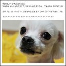 에이 - 제주시 광양10길 13 | 에이