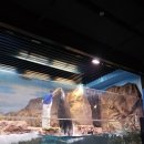 거북시장B(42136) | 🐠 롯데월드 아쿠아리움 완전 정복! ( 바다 속 세상을 서울에서 만나다 )