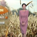 설악산 단풍 절정…다음 주, 다시 기온 '뚝' 이미지