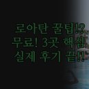 하프문베이 | 조식 위치 총정리 | Roatan Airport Boutique Resort 실제 후기 | 하프 문 베이 실속파 여행 완벽 분석