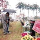 이세영묘역 이미지