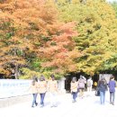 신흥동013 이미지