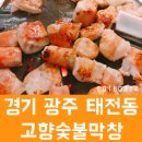 고향생돼지 이미지