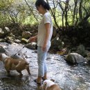 땡큐펜션 이미지