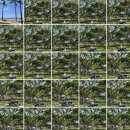 신호 묘 | 휴직기간동안 뭐했묘