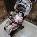 쑥쑥튼튼소아청소년과의원 이미지