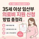 35 | 서울시 임산부 의료비 지원 신청 후기 | 35세 이상 50만원 받는 방법 정리