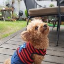 혜진목장 이미지