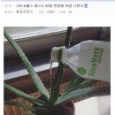 사이코PC방 이미지