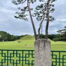 오릉 | 경주 가볼 만한 곳/아이랑 가볼 만한 곳/경주 오릉 나들이 후기