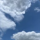 pet88머0727 | 2024 7월