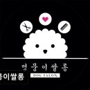 멍뭉이 쌀롱 이미지