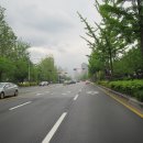 종합운동장길 이미지