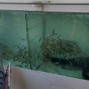 산업로 355번길 이미지