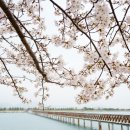 사회복지법인 여수애양병원 이미지