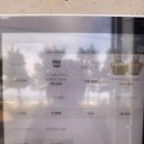 포항스케이트보드 | 포항 애견동반 카페 추천 하우하이 감성카페 디저트 맛집 핫플