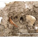 비학농장 이미지