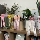 신세무회계 이미지