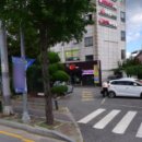 멍냥동물약국 이미지