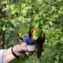 제언농장 이미지