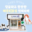 애견미용실 이미지