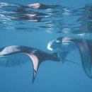 오션하우스 이미지