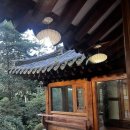 수희재 한옥펜션 | 창문 열자마자 숲이 와르르 해남 펜션 통유리창 속에서 진짜 힐링을 만나다 수희재 펜션