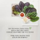한입쌈 이미지