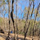 수원-1510 이미지