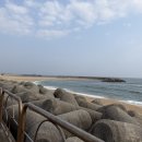 소리바다 | 속초 혼자 여행 영금정 전망대 일출 명소 후기