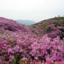 바래봉식품