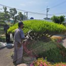 철마우체국 이미지