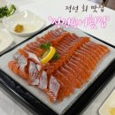 정선사랑 | [정선 맛집] 신선한 송어회 나의 또간집 "정선송어횟집" 내돈내산 후기