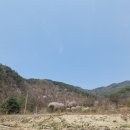 한붓꽃그림 이미지